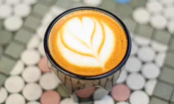 Mojo Coffee House