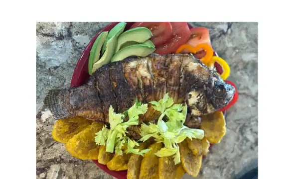 Dominican King López Empanadas y Mas Image