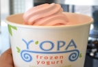 Y'OPA Frozen Yogurt in Portage, MI at Restaurant.com