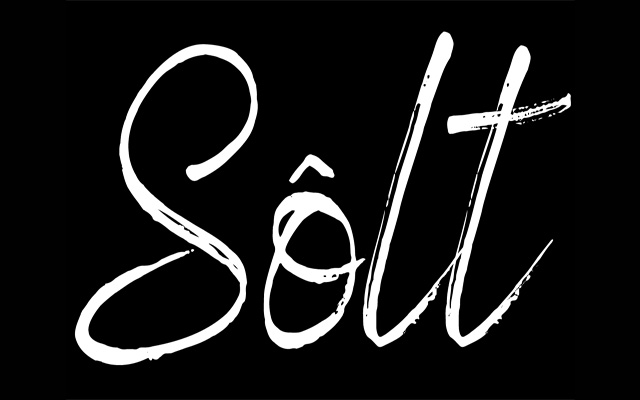 Solt Logo